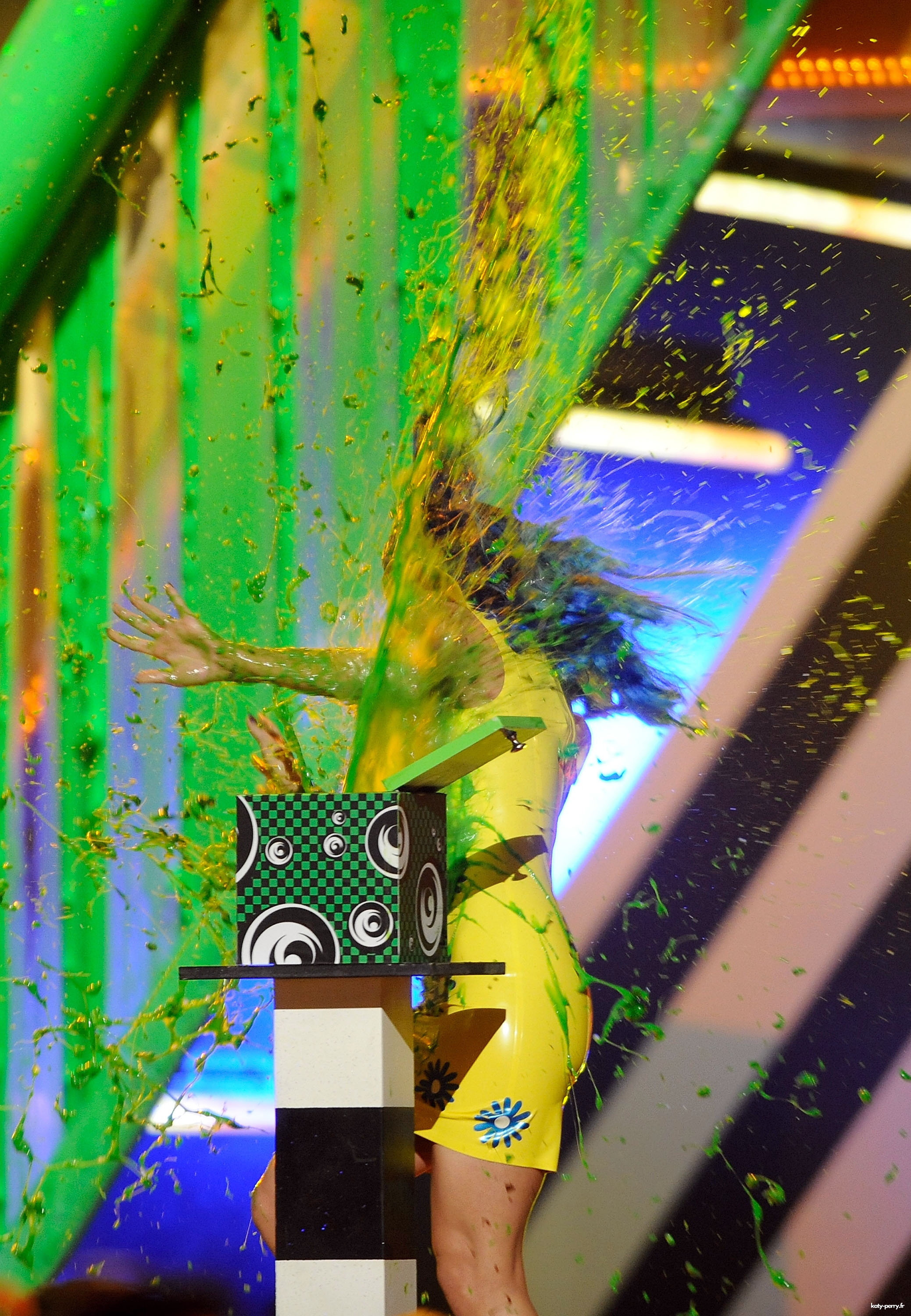 050.jpg