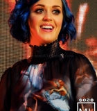 049.jpg
