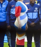 113.jpg