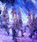 166.jpg