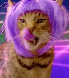 131.jpg