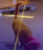 133.jpg