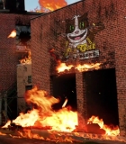 221.jpg