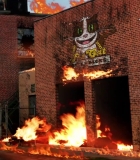 222.jpg