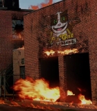 223.jpg