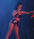 133.jpg
