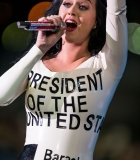 310.jpg