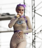 062.jpg