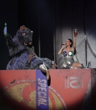 189.jpg