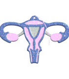 025.png