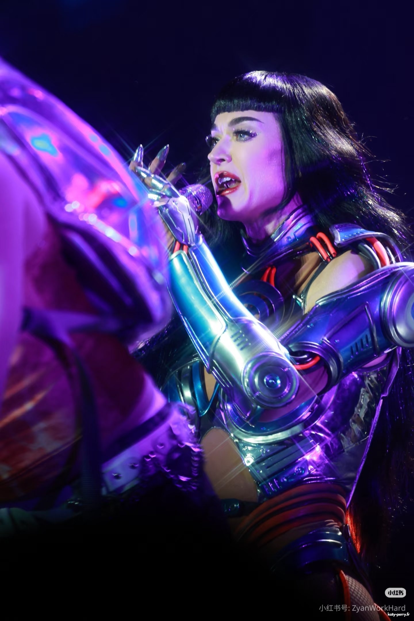 412.jpg