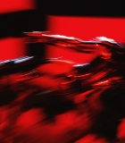 378.jpg