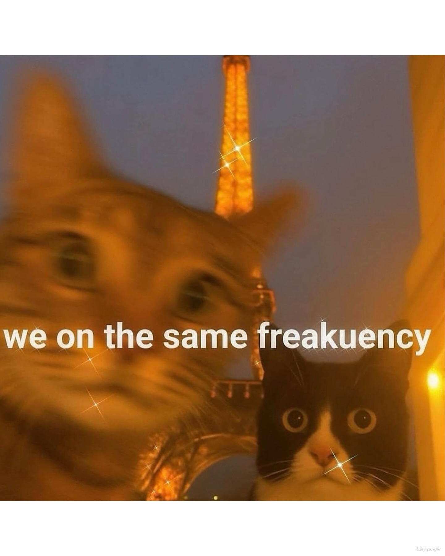 203.jpg