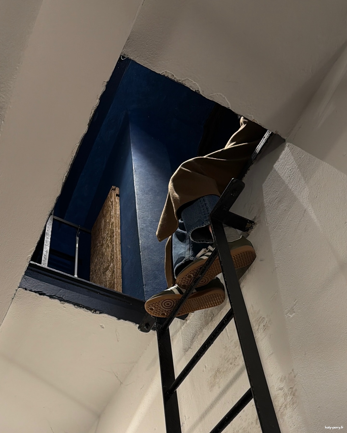 262.jpg