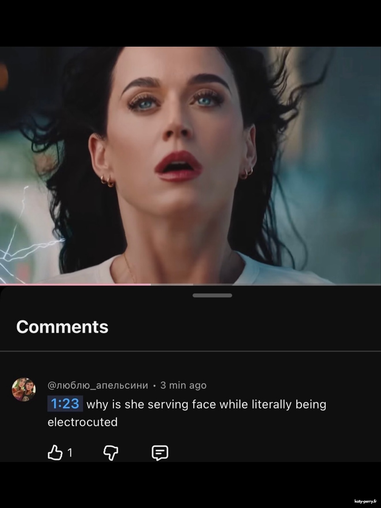 279.jpg