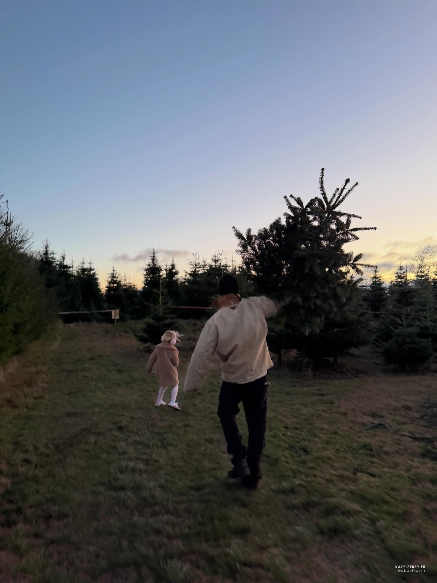 011.jpg