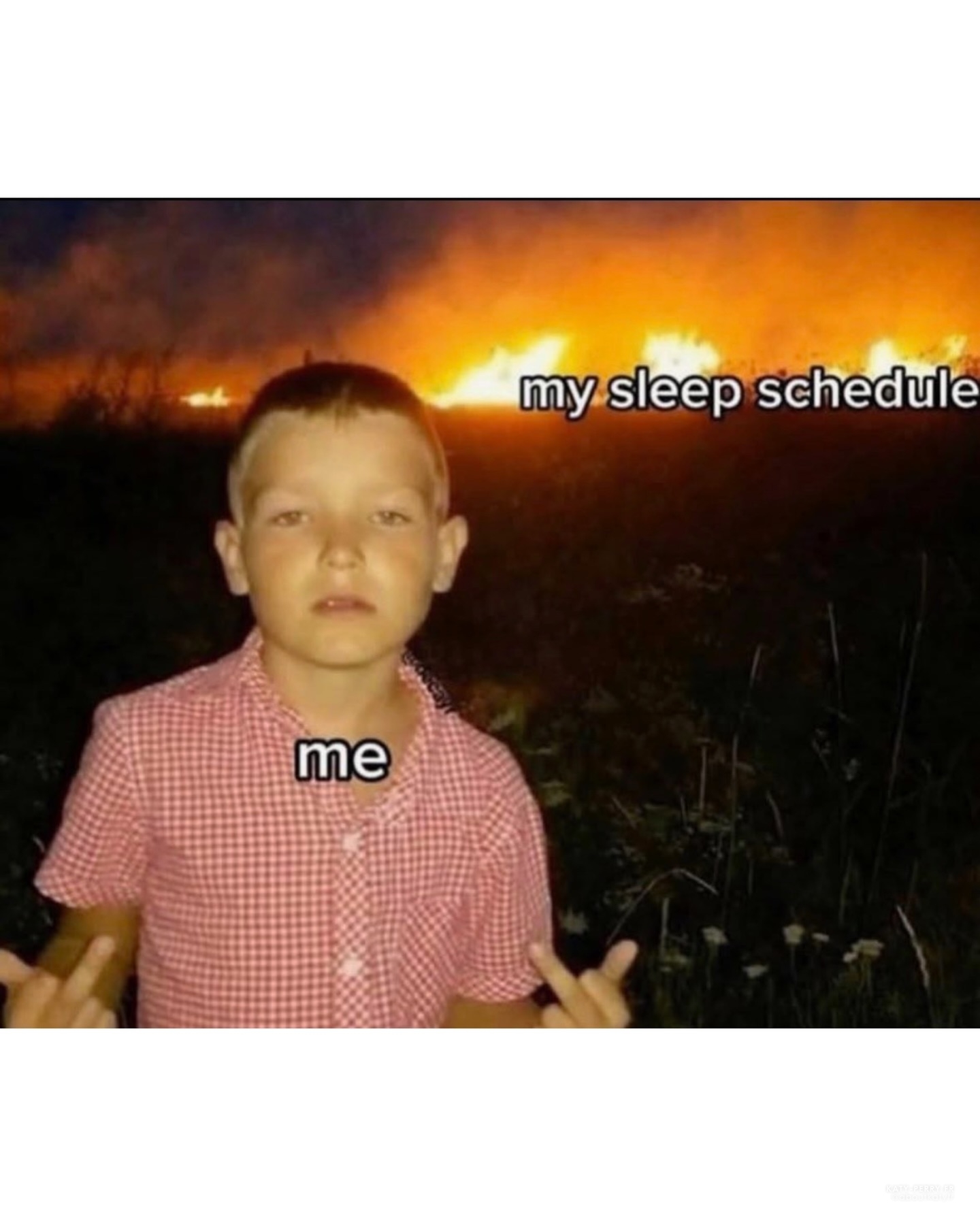 121.jpg