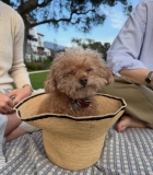 074.jpg