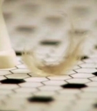 usg_0122.jpg