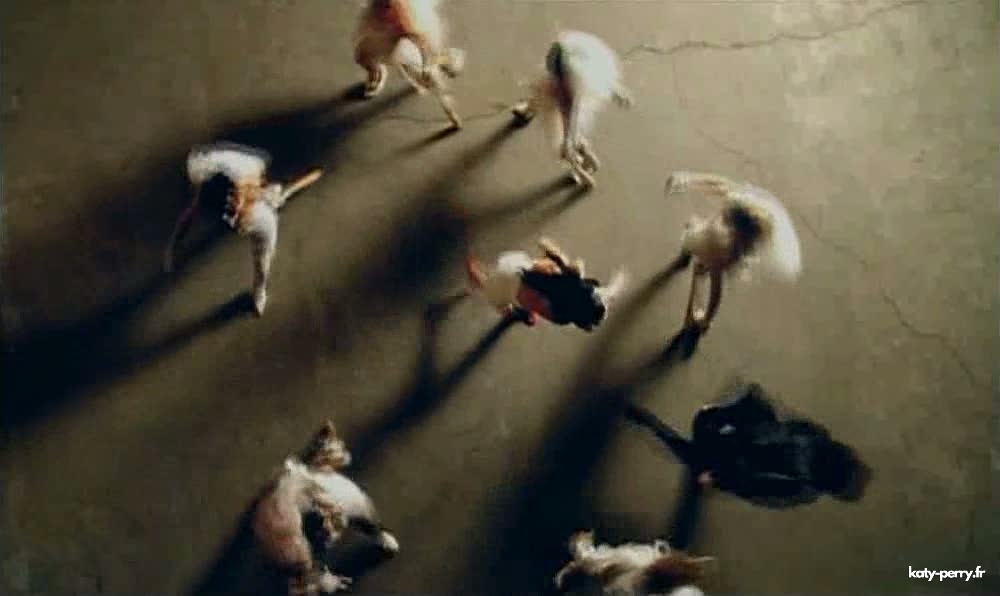 161.jpg