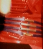 115.jpg