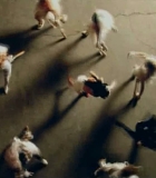 161.jpg