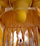 00459.jpg