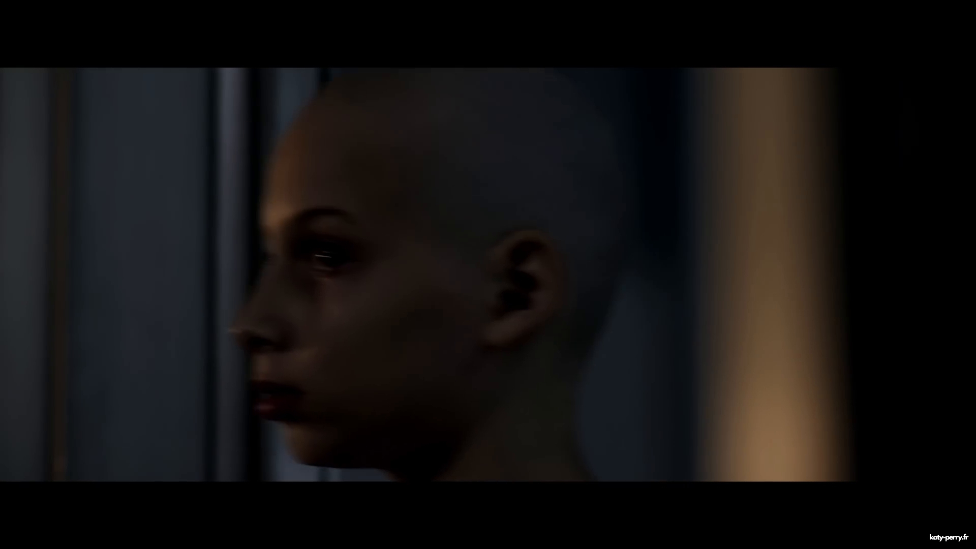 00344.jpg