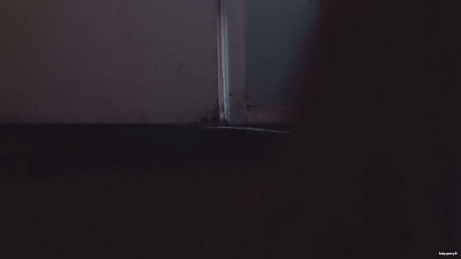 00251.jpg