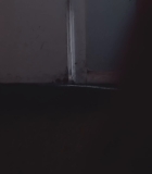 00251.jpg