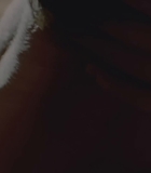 00519.jpg