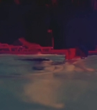 00568.jpg
