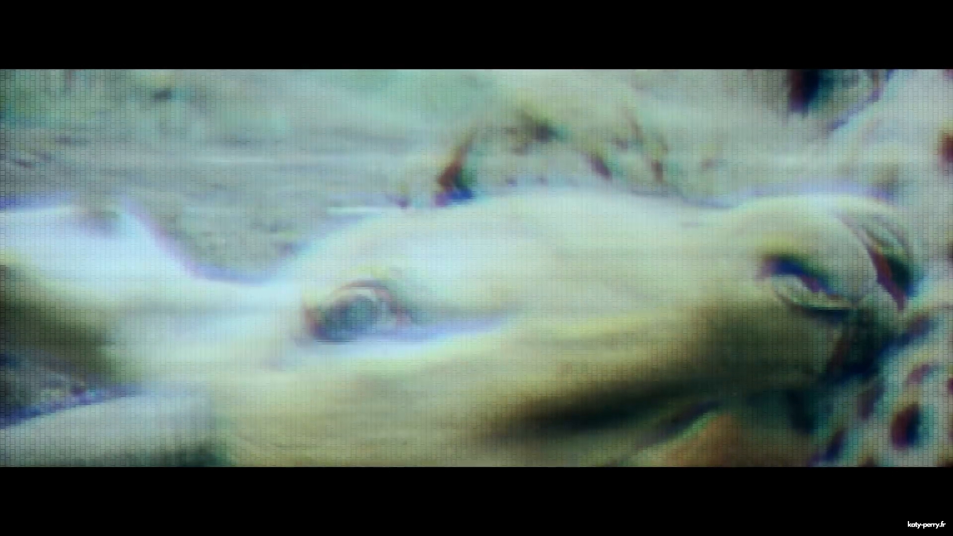 00313.jpg