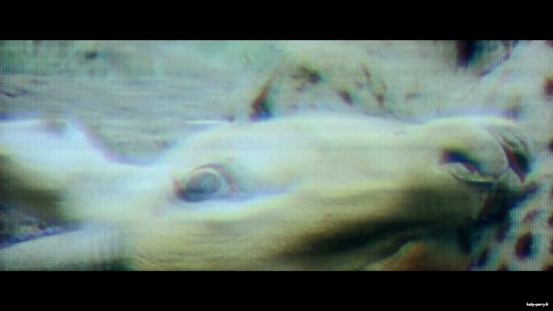 00315.jpg