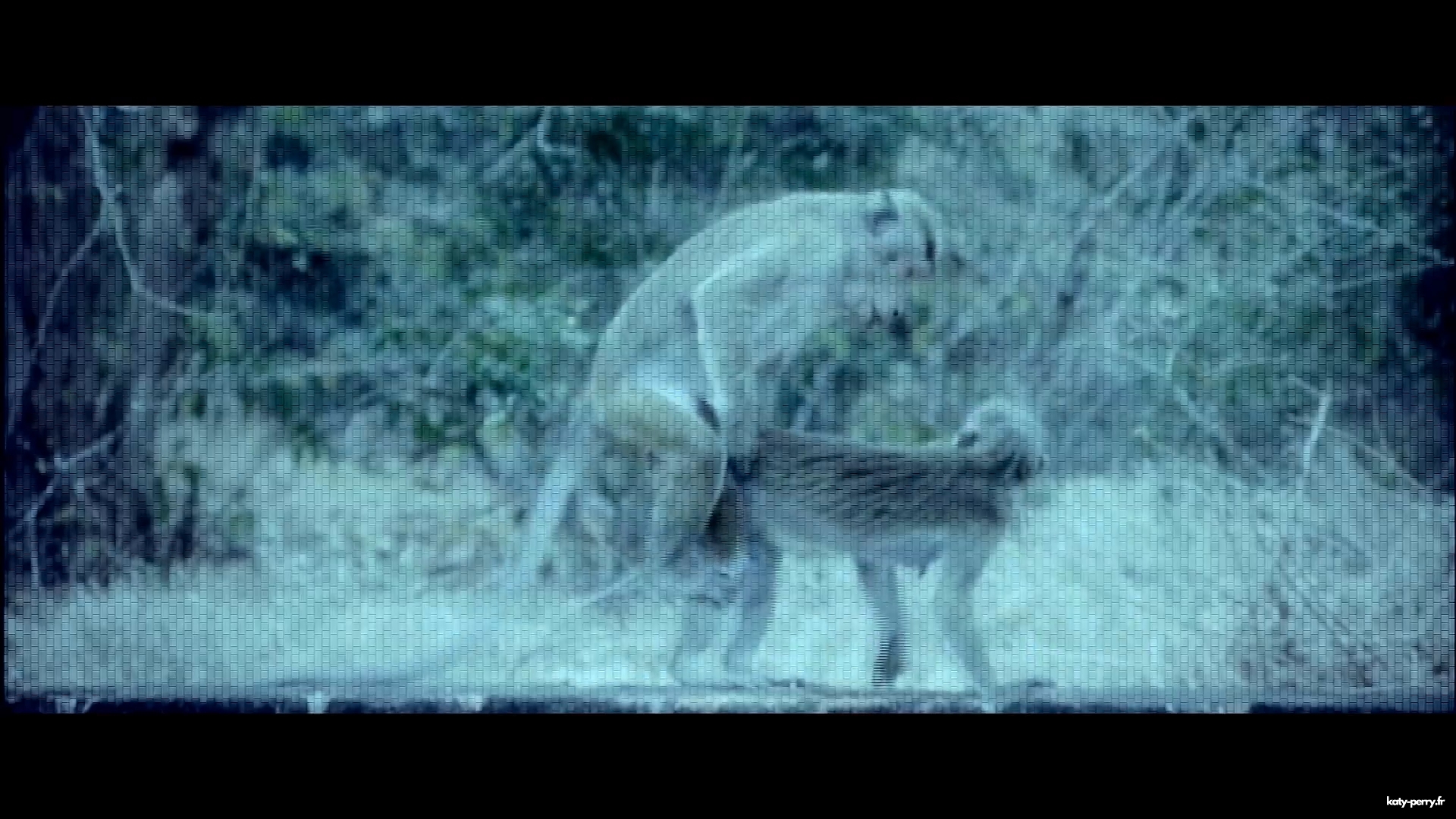 00450.jpg