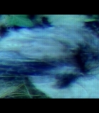 00234.jpg