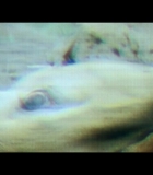 00314.jpg