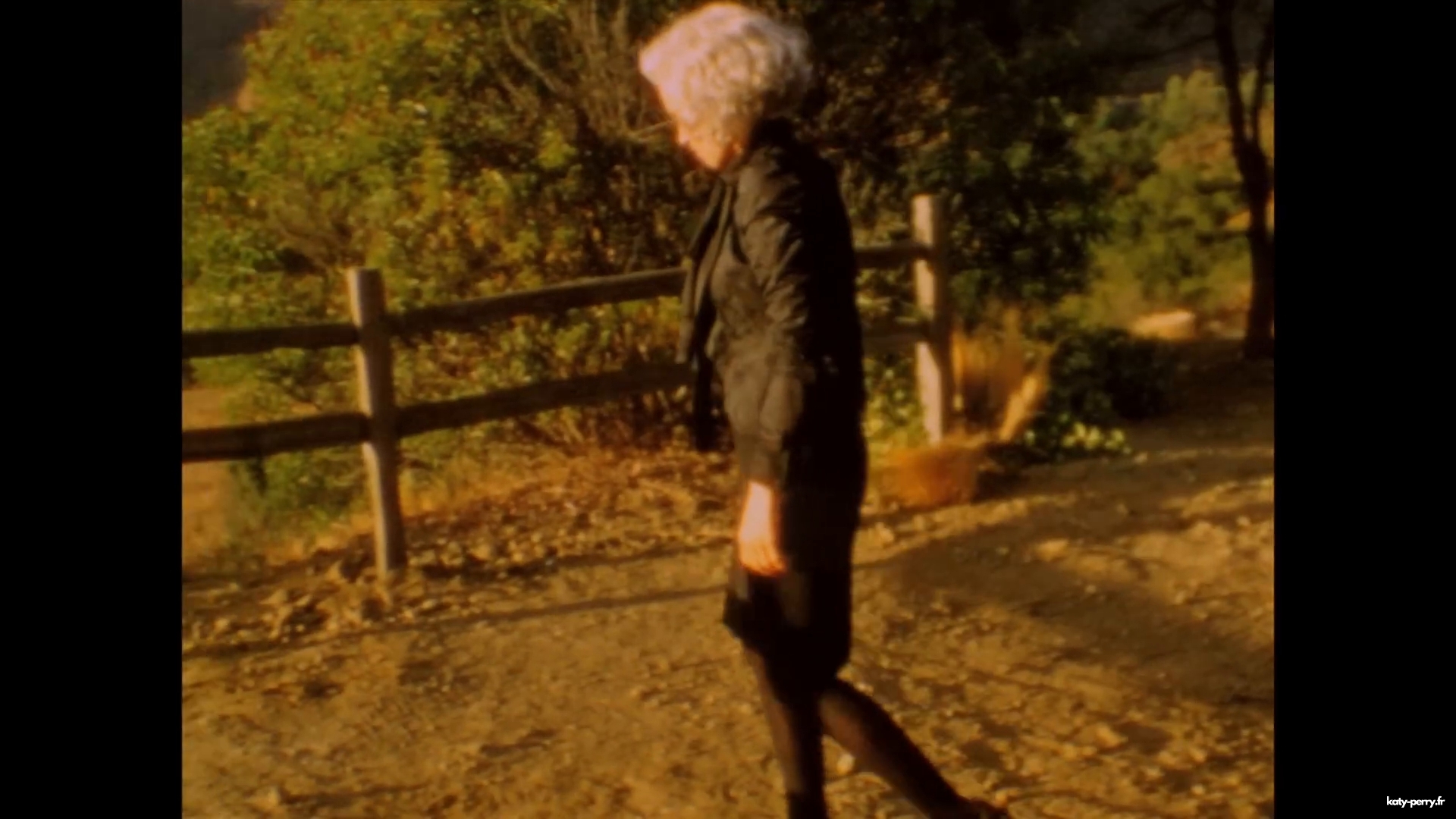 00274.jpg 00274.jpg