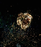 00299.jpg