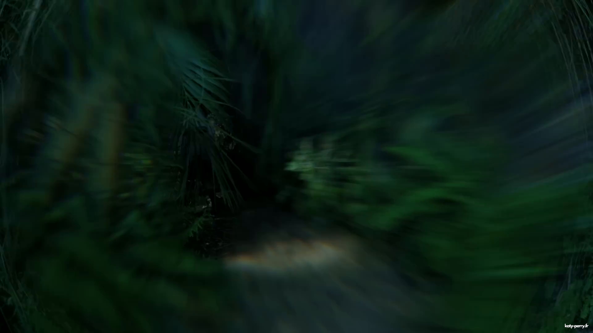 00102.jpg