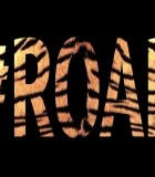 00029.jpg