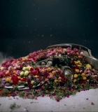 00536.jpg