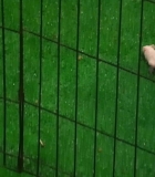 Nom du fichier=00218.jpg
Taille du fichier=1203Ko
Dimensions : 1920x1080
Ajouté le : 16 Février 2024 00218.jpg