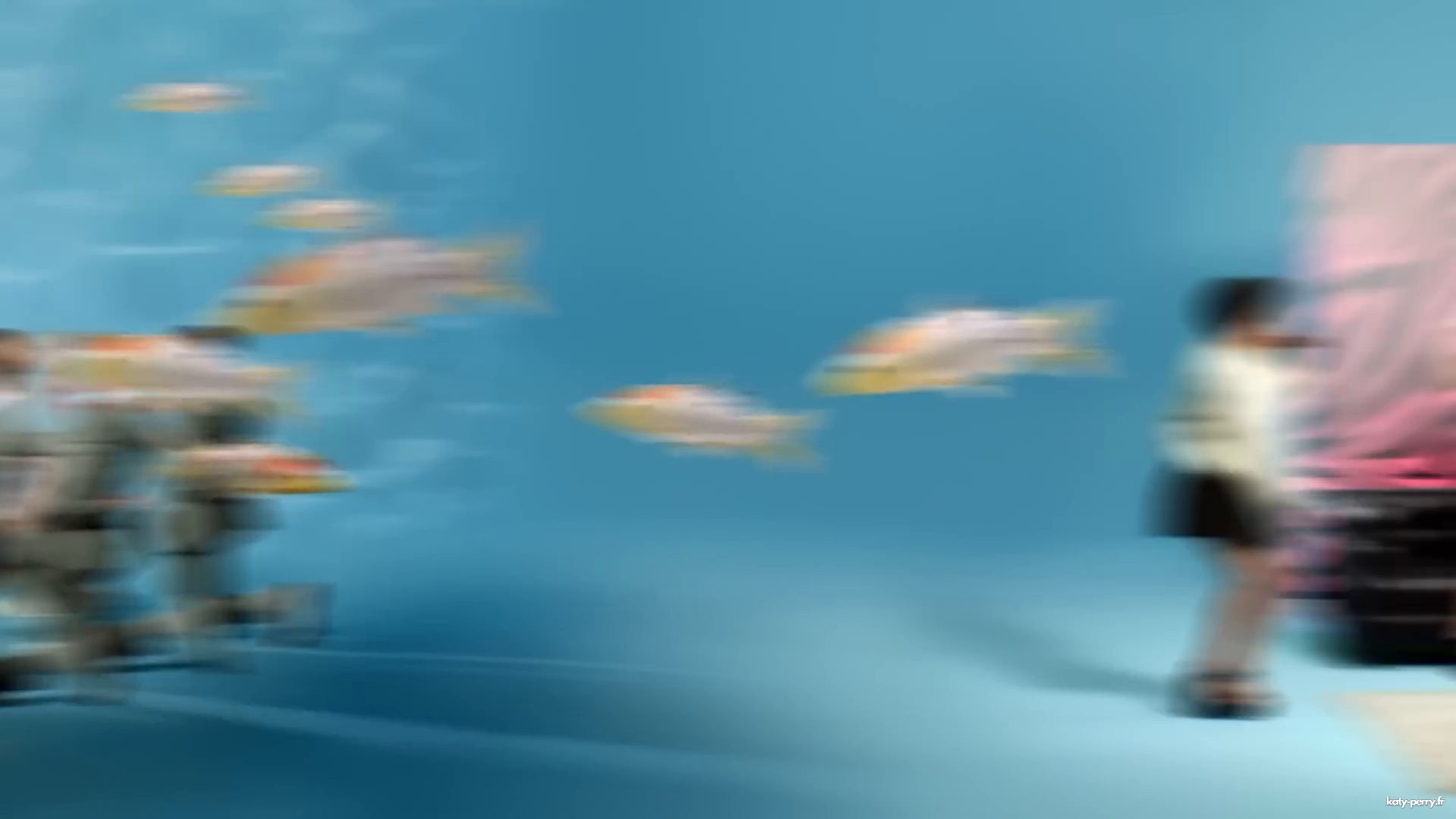 00181.jpg