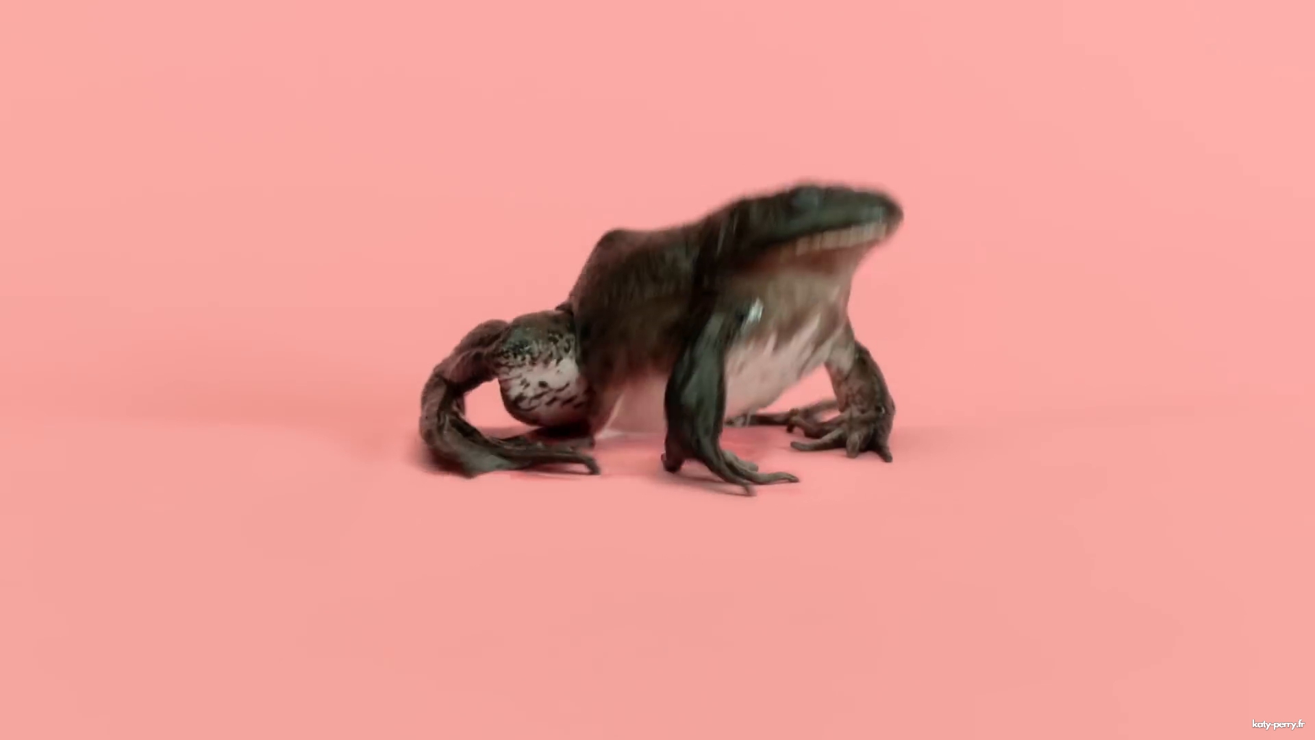 00401.jpg