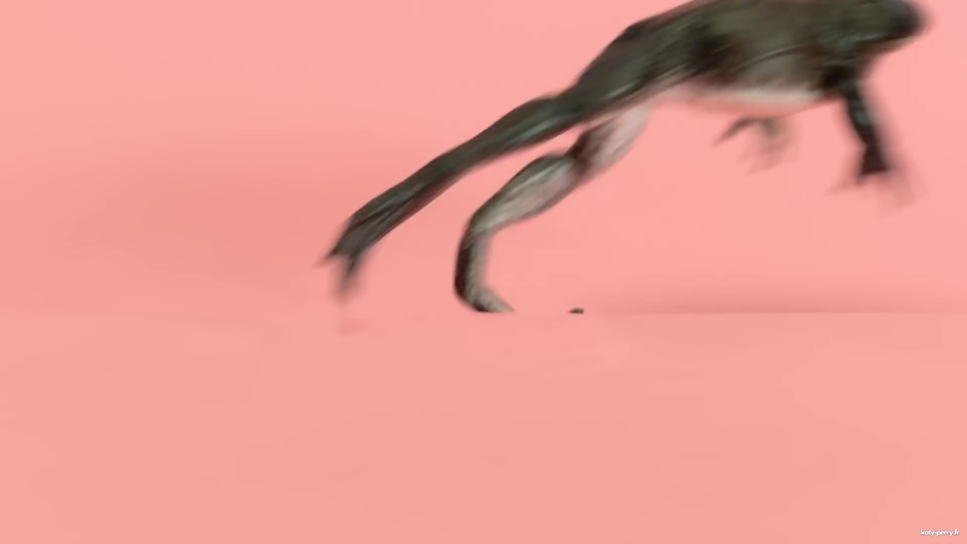 00402.jpg