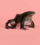 00401.jpg