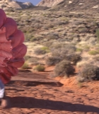 Nom du fichier=00031.jpg
Taille du fichier=1563Ko
Dimensions : 1920x1080
Ajouté le : 16 Février 2024 00031.jpg