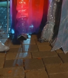 00493.jpg