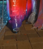 00494.jpg